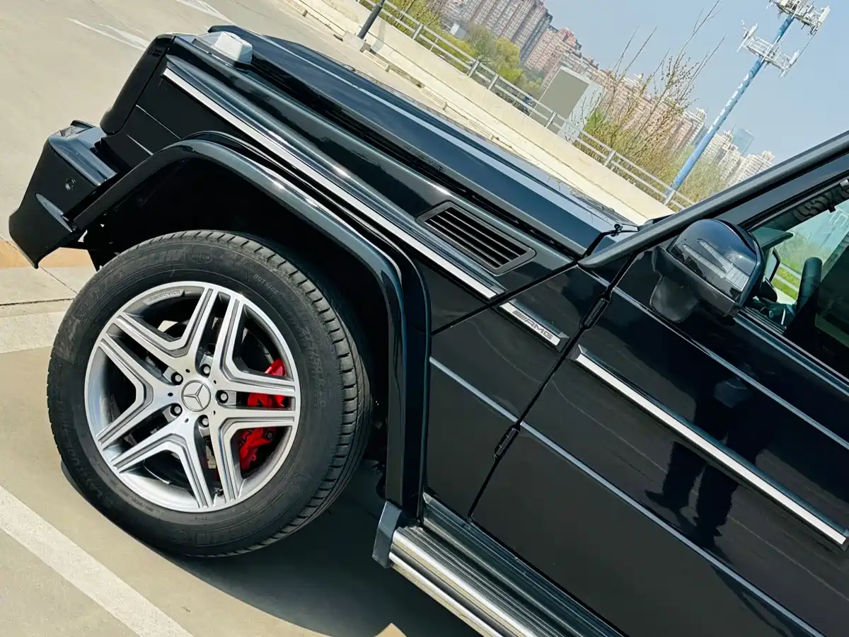 Mercedes-Benz G-Class AMG 2016 AMG G 63 фото 8