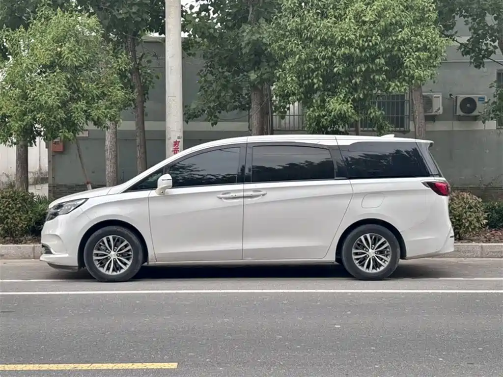 Buick GL8 2022 ES Landmark 653T Comfort фото 3