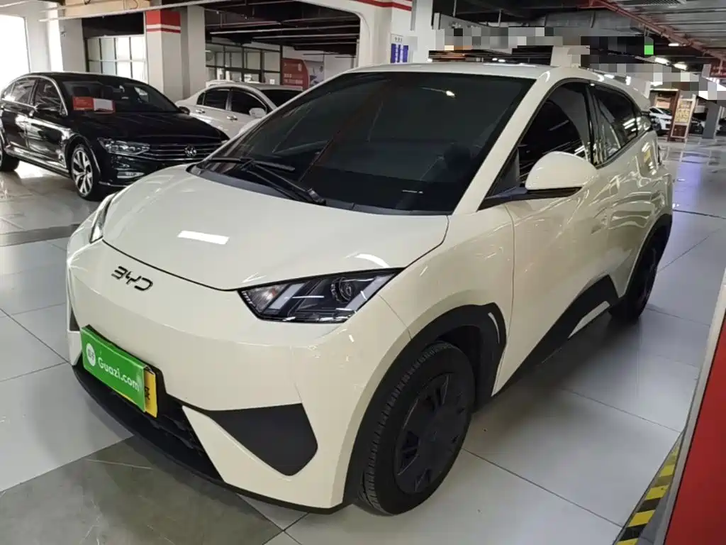 BYD Seagull 2026 2025 Smart Drive Edition 305km Vitality Version