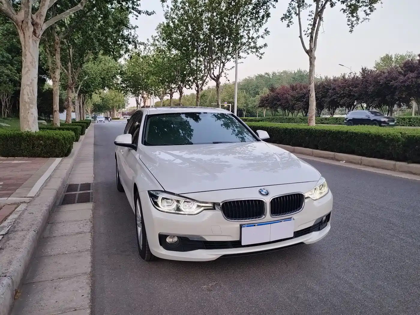 BMW 3 Series 2016 320Li Fashion Model фото 3