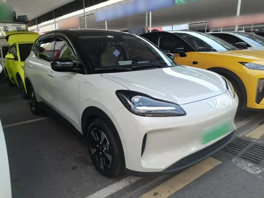 Wuling Motors Wuling Binguo PLUS 2025 2024 401km Range 5-seater