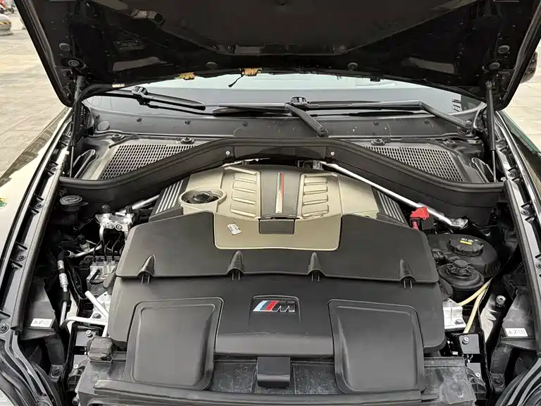 BMW X6 M 2010 X6 M фото 20