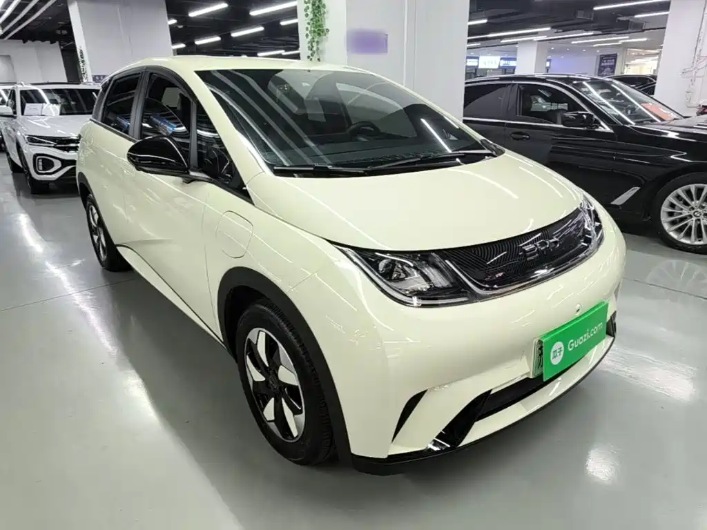 Фото 4 - BYD Dolphin