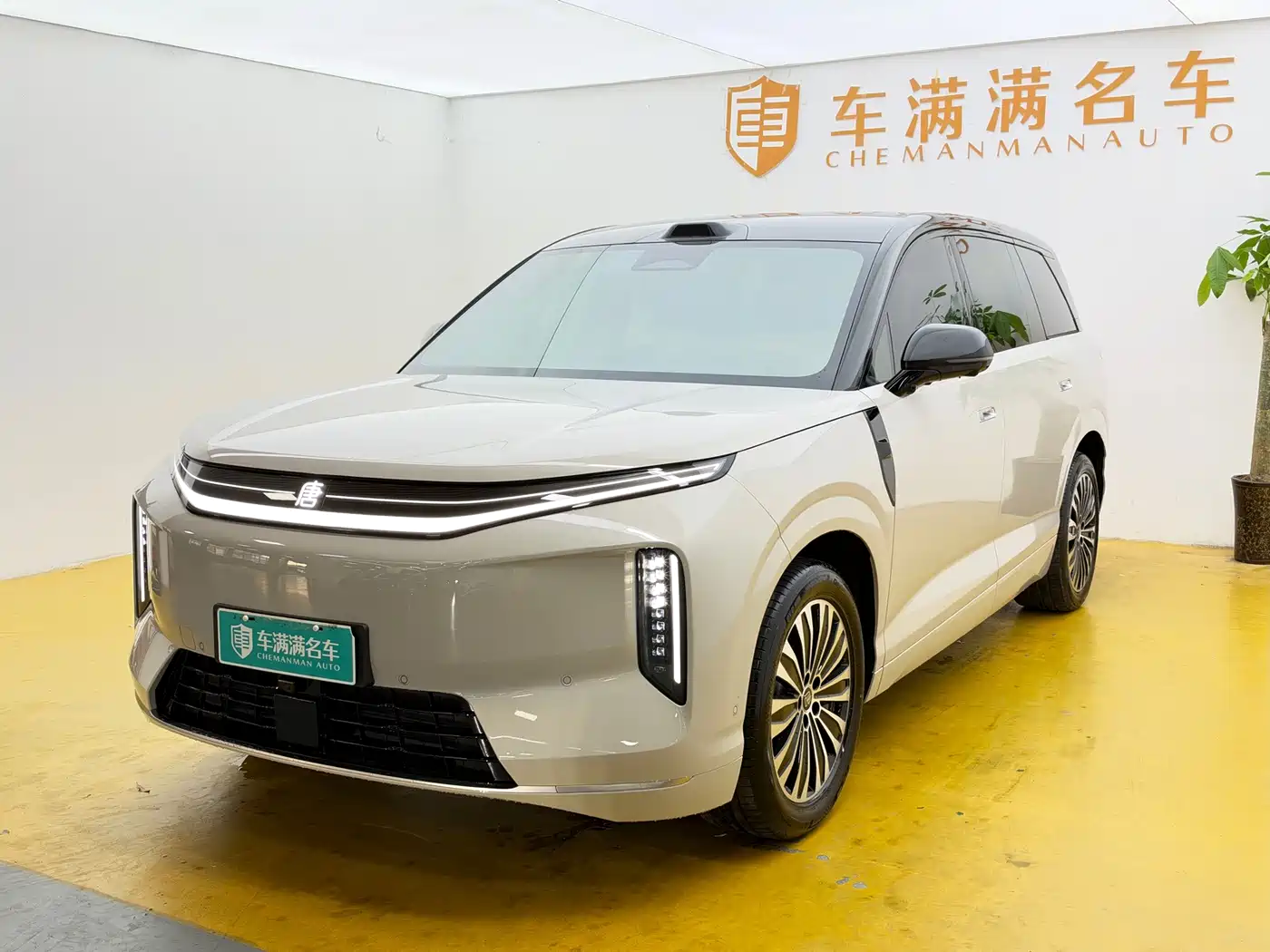 BYD Dynasty-D 2026 — пригон из Китая