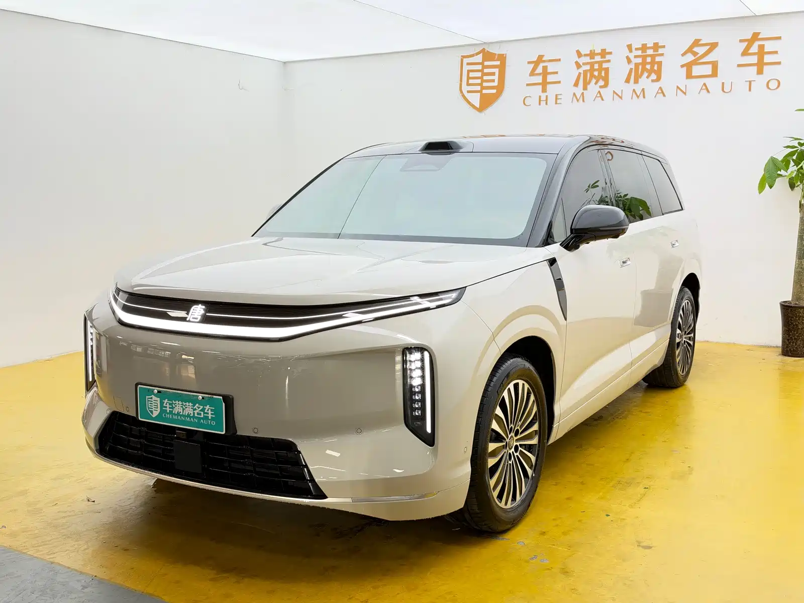 صورة 1 - BYD Dynasty-D