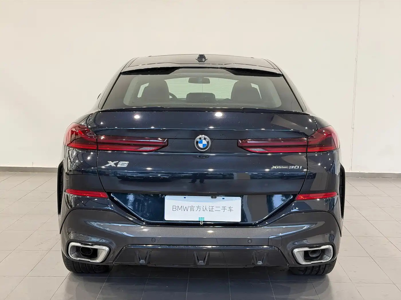 2026 BMW X6