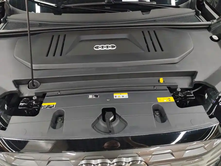 Фото 10 - Audi Q5 e-tron
