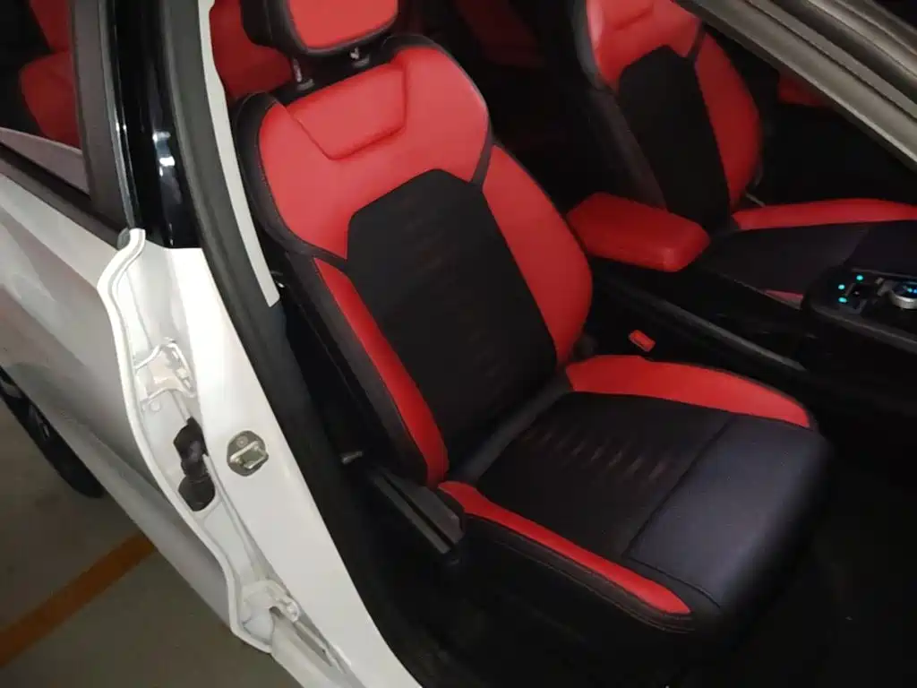BYD e2 2022 2021 Premium Model