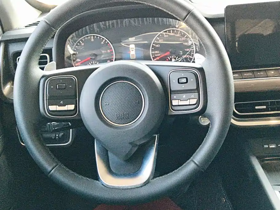 Great Wall Pao 2025 2024 Model 2.4T Commercial Version Automatic Diesel 4WD Elite Type