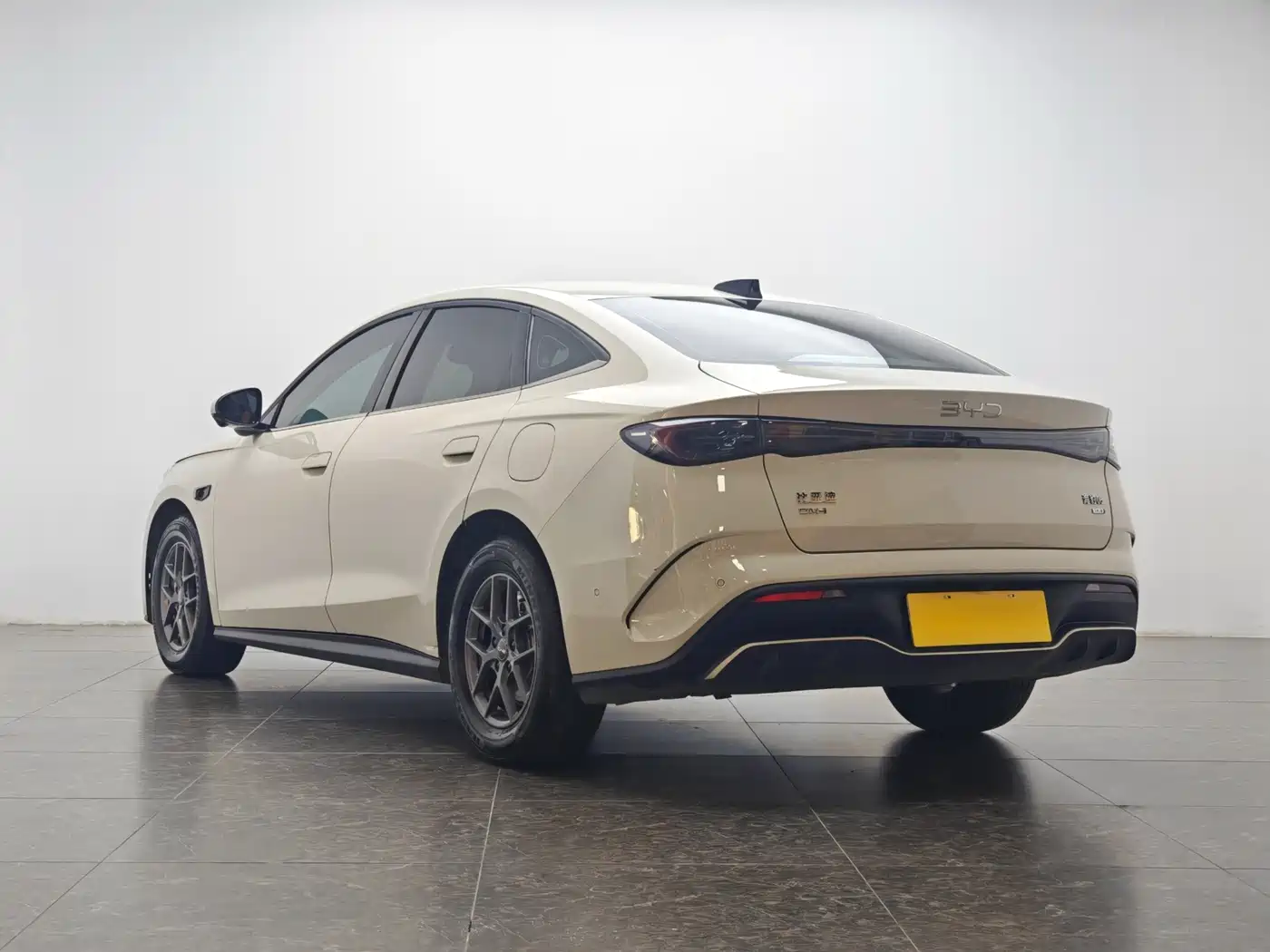 BYD Seal 06 New Energy 2025 DM-i Smart Drive 80KM Luxury фото 4