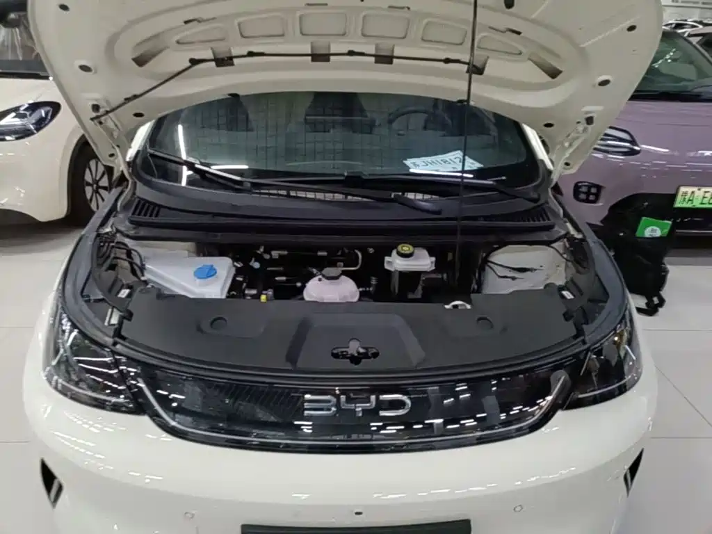 Photo 20 - BYD Dolphin