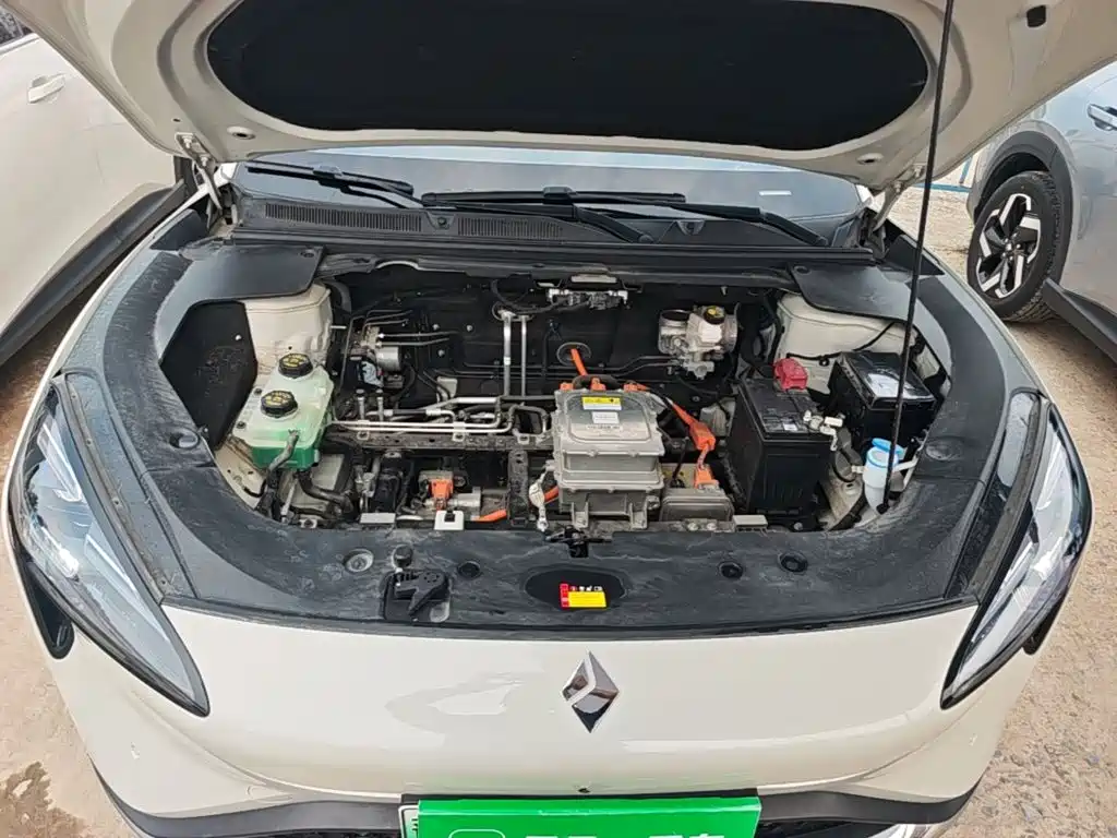 Baojun Yunhai 2024 2024 600km Pure Electric Version