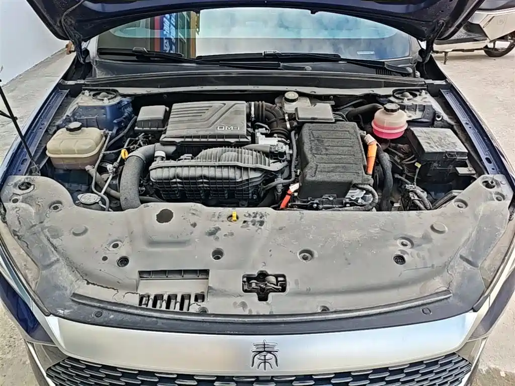BYD Qin PLUS 2021 DM-i 55KM Flagship фото 20