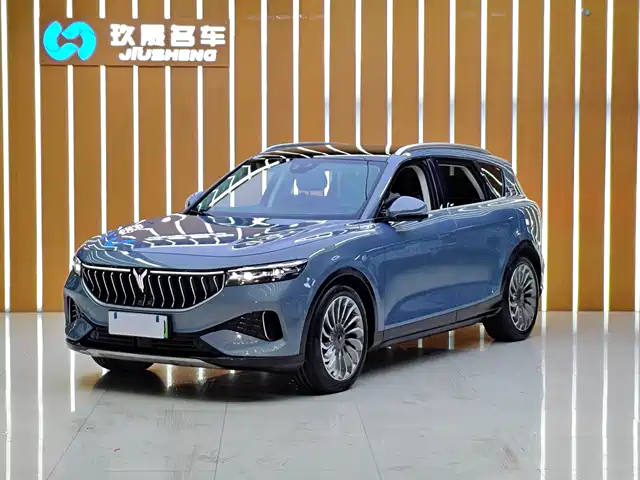 Voyah Auto VOYAH FREE 2021 AWD Standard Range Extender Exclusive Luxury Package