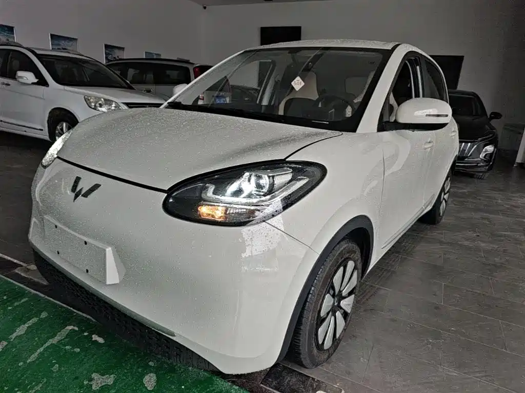Wuling Motors Wuling Bingo 2023 Model 203km Lite Enjoyment Edition