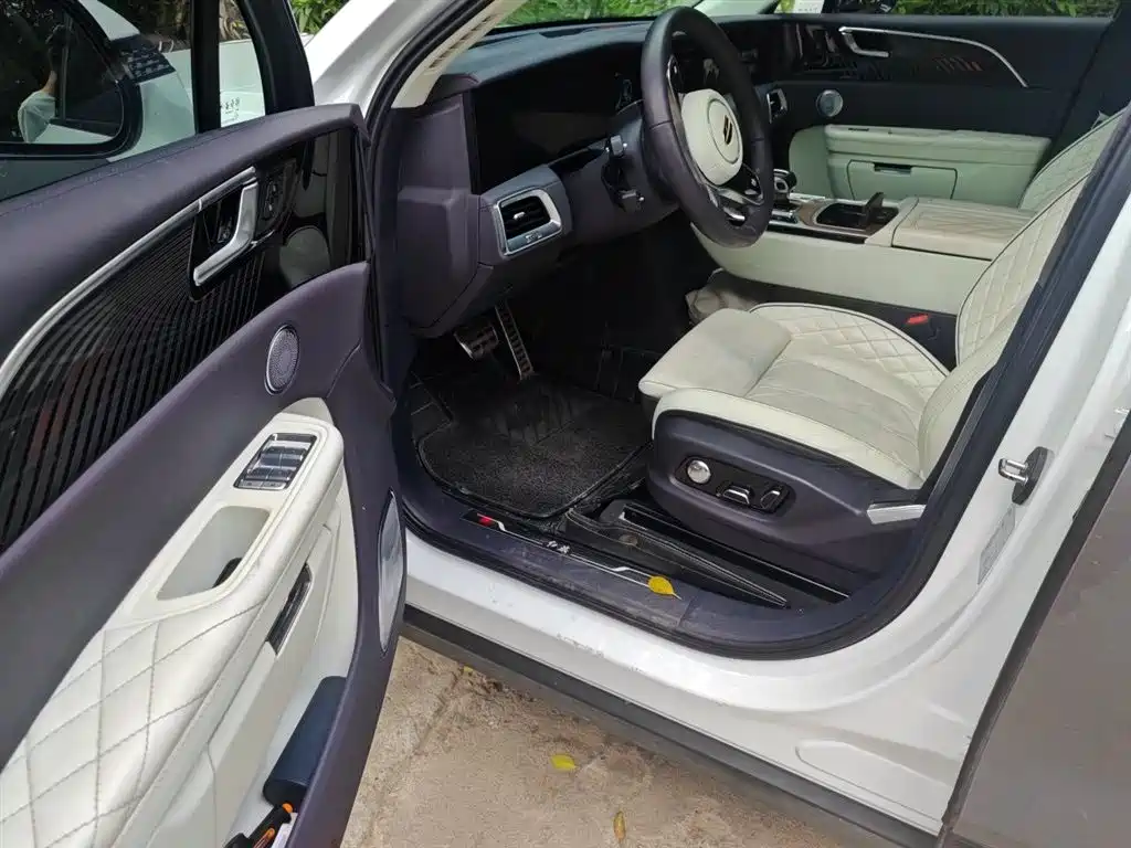 Hongqi E-HS9 2021 510km Flagship Edition 4-seater фото 14