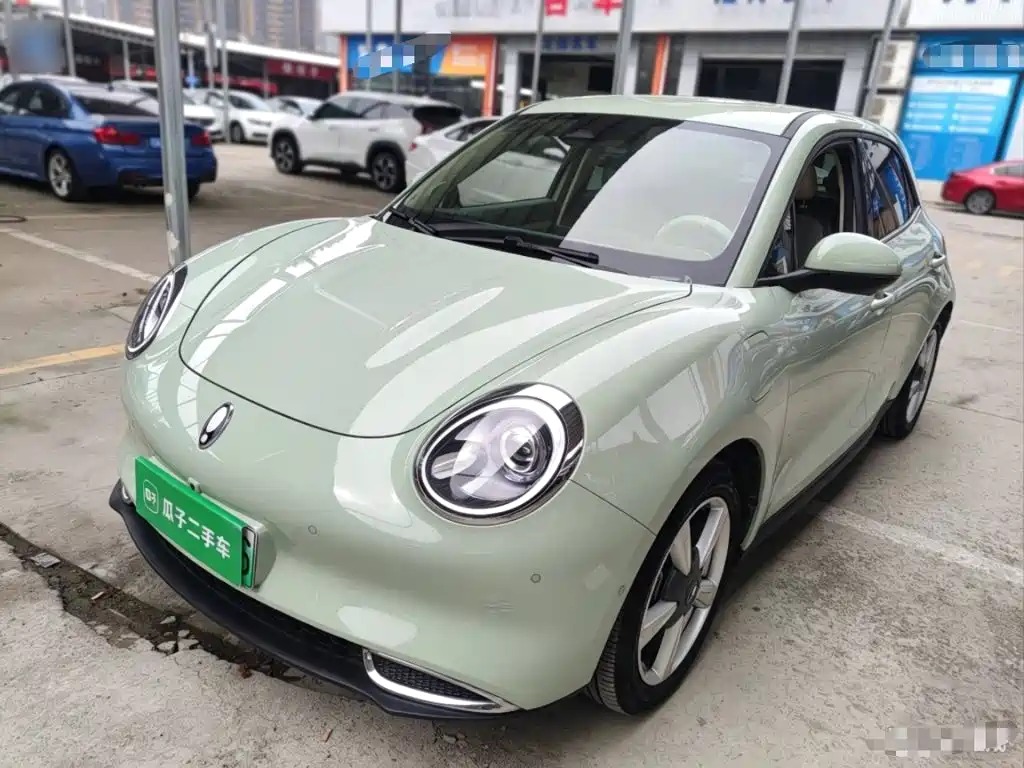 Ora Good Cat 2023 2023 401km Standard Range Luxury LFP