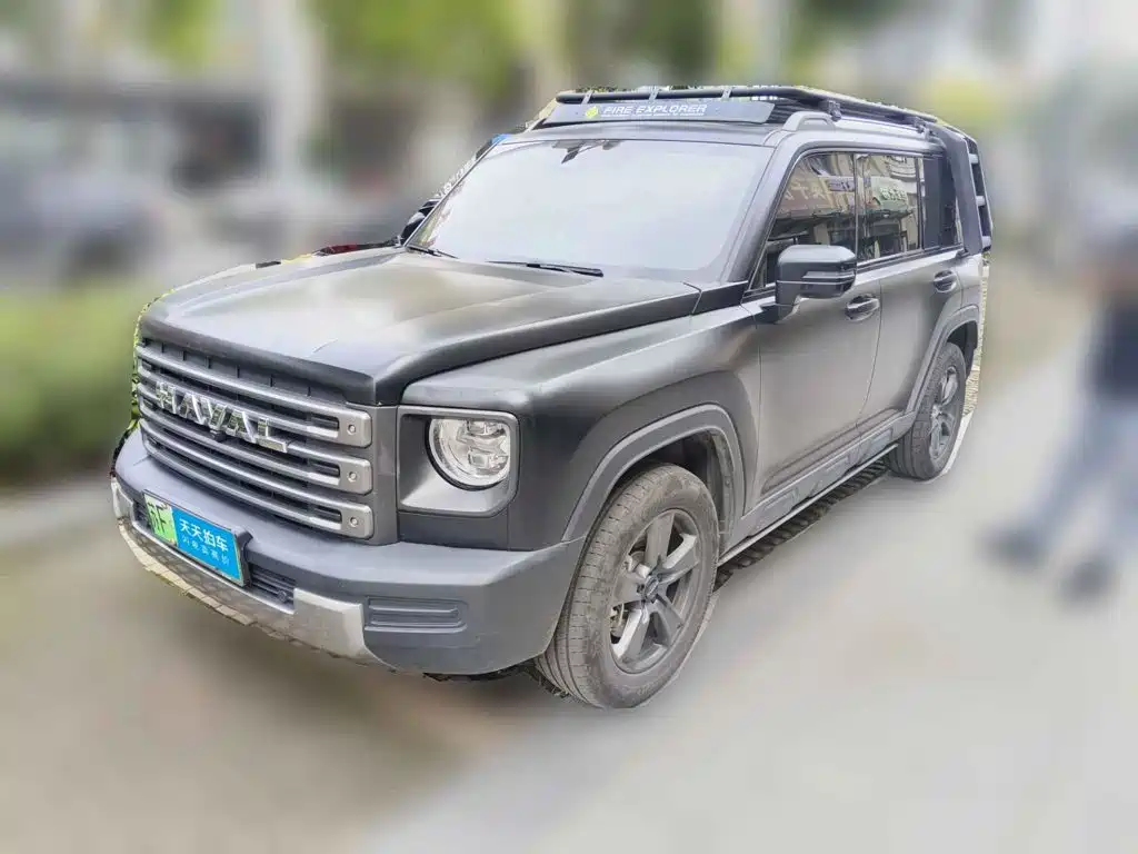 Haval Meng Long NEV