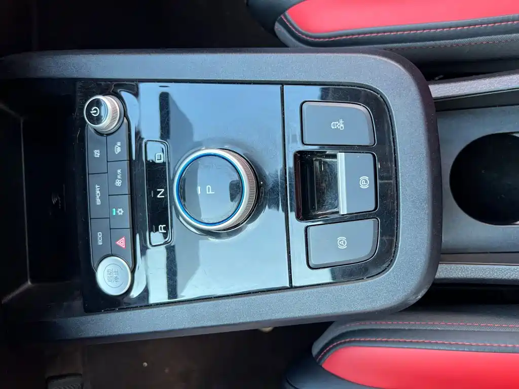 BYD e2 2021 2021 Premium Model