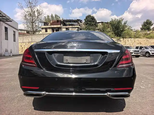Mercedes-Benz S-Class 2020 S 350 L Business Edition Collector's Version — фото 5