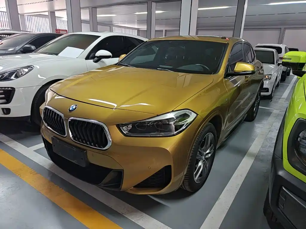 BMW X2 2020 sDrive25i Leading M Sport Package