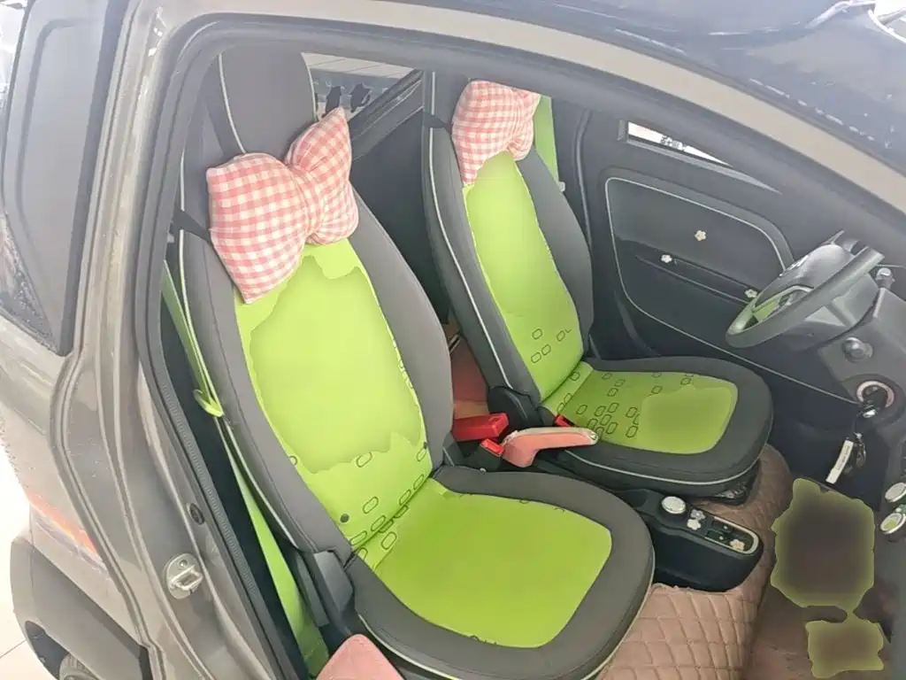 Baojun E100 2021 2020 305KM Intelligent Edition