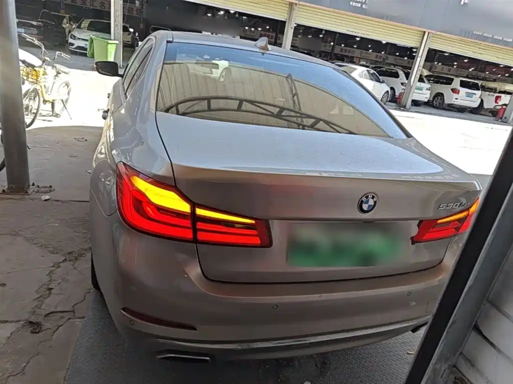 BMW 5 Series New Energy 2020 530Le Range Upgrade Luxury Package фото 6