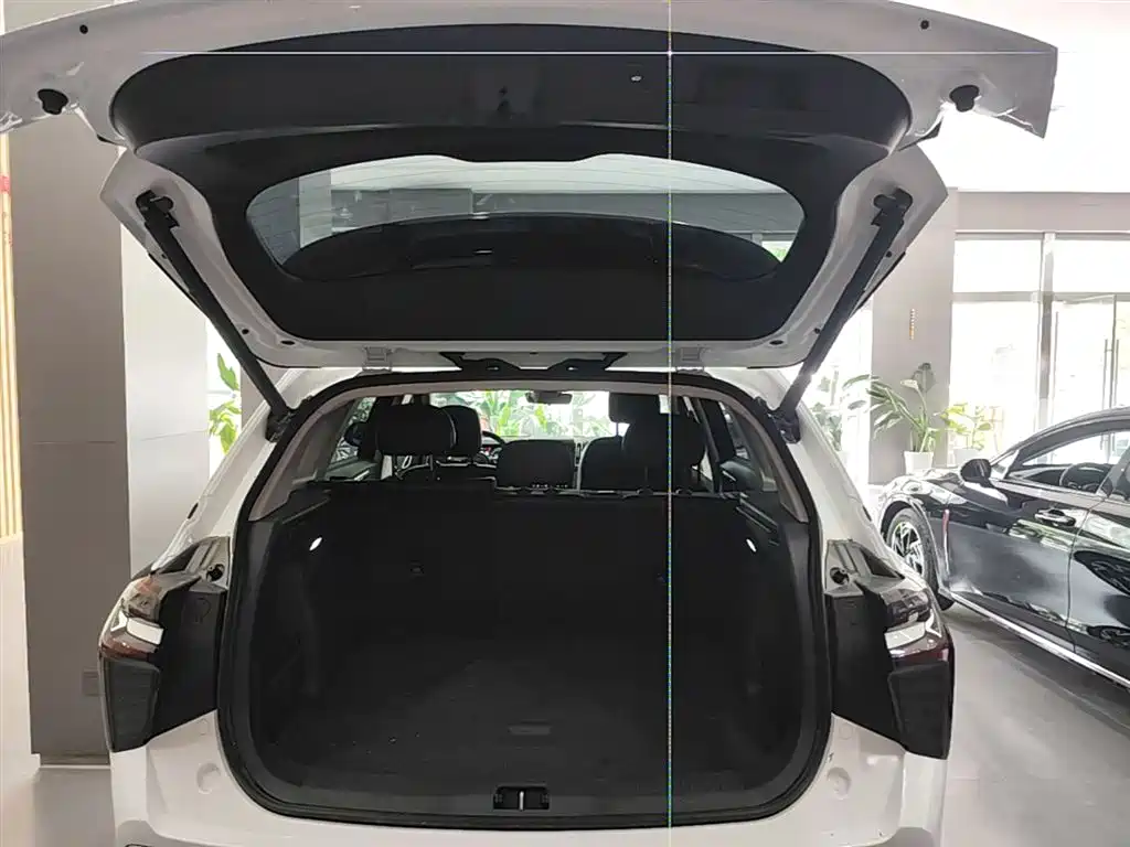 Hongqi HS3 PHEV 2025 PHEV 115km Power Edition фото 15