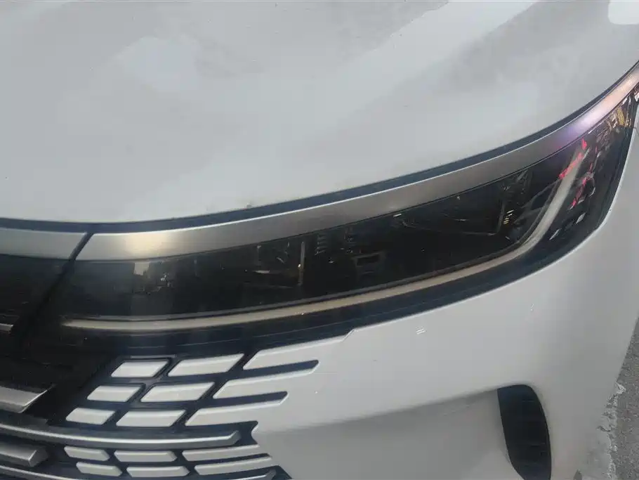 BYD Destroyer 05 2024 Glory Edition DM-i 55KM Luxury фото 5