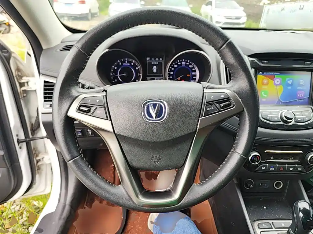 Photo 11 - Changan Eado