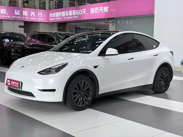 Tesla Model Y Задний привод
