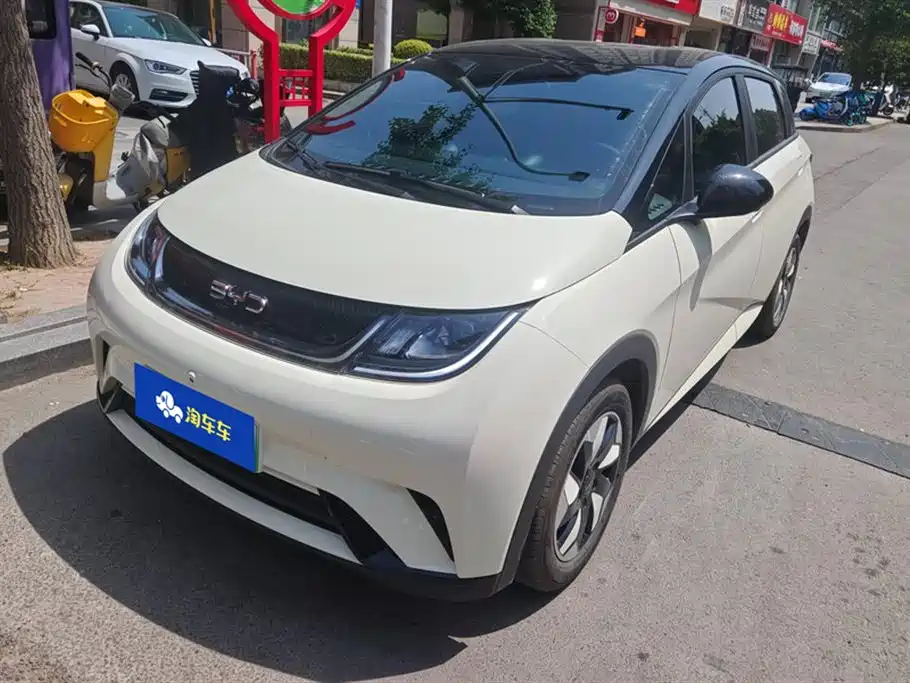 BYD Dolphin 2025 420km Freedom Edition