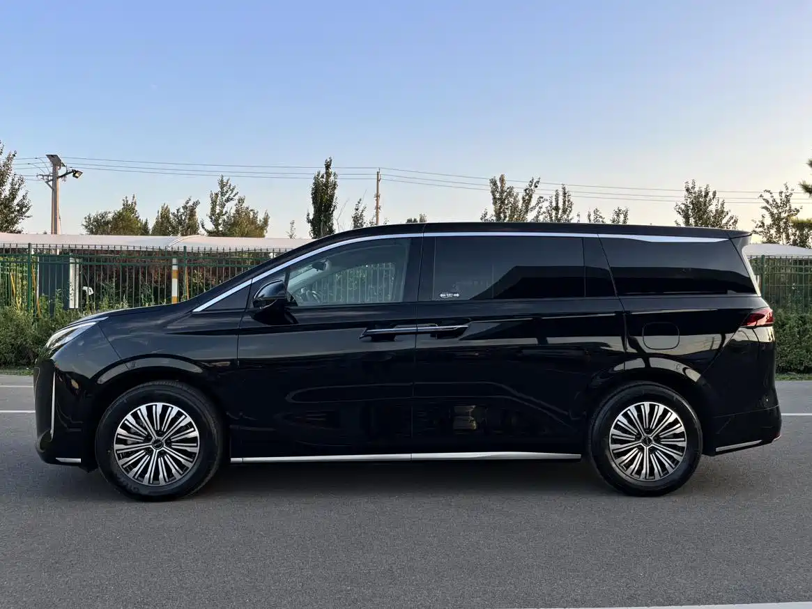 BYD M9, миниатюра 6
