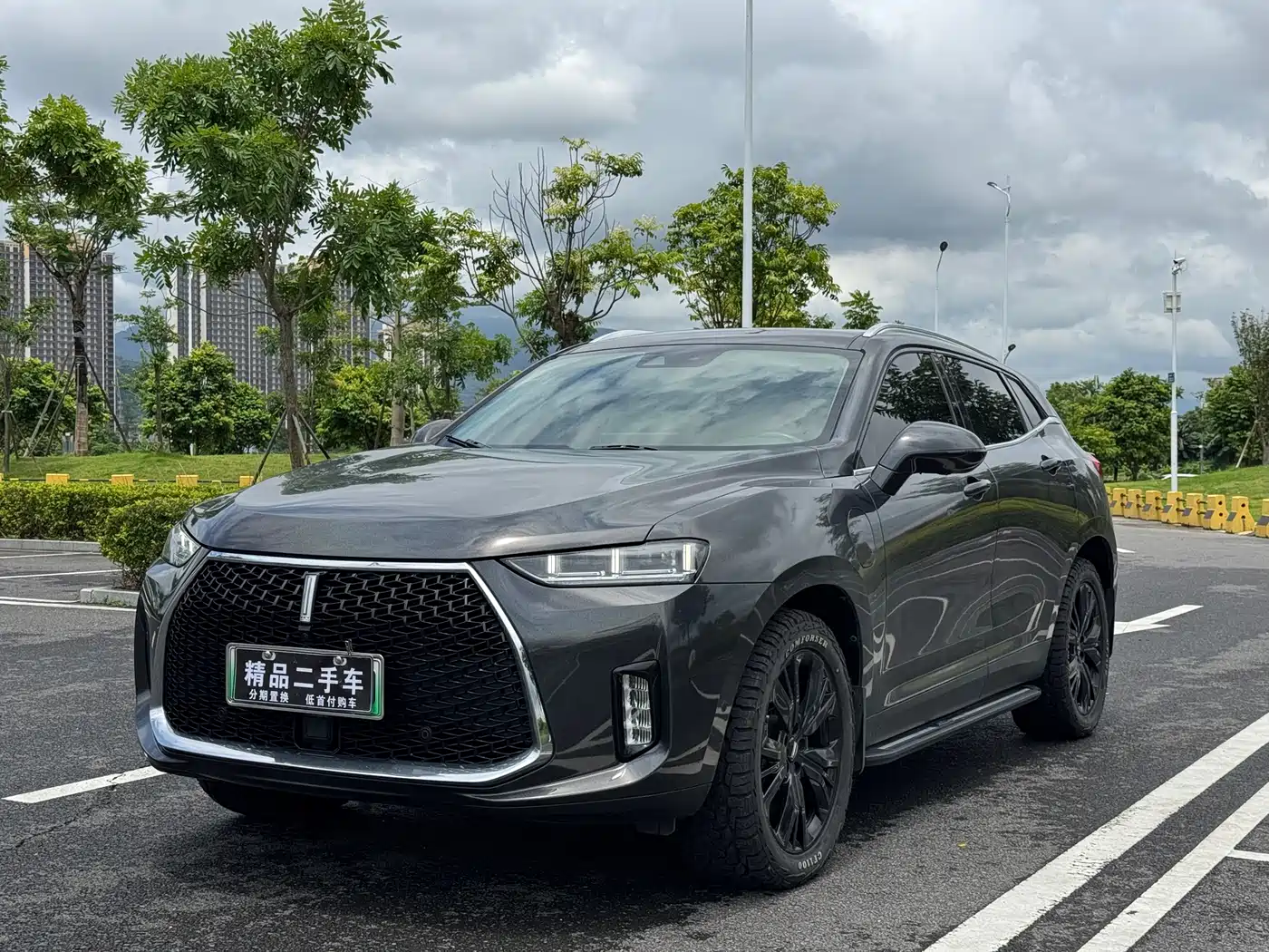 WEY P8 2018 2018 2.0T Flagship Model