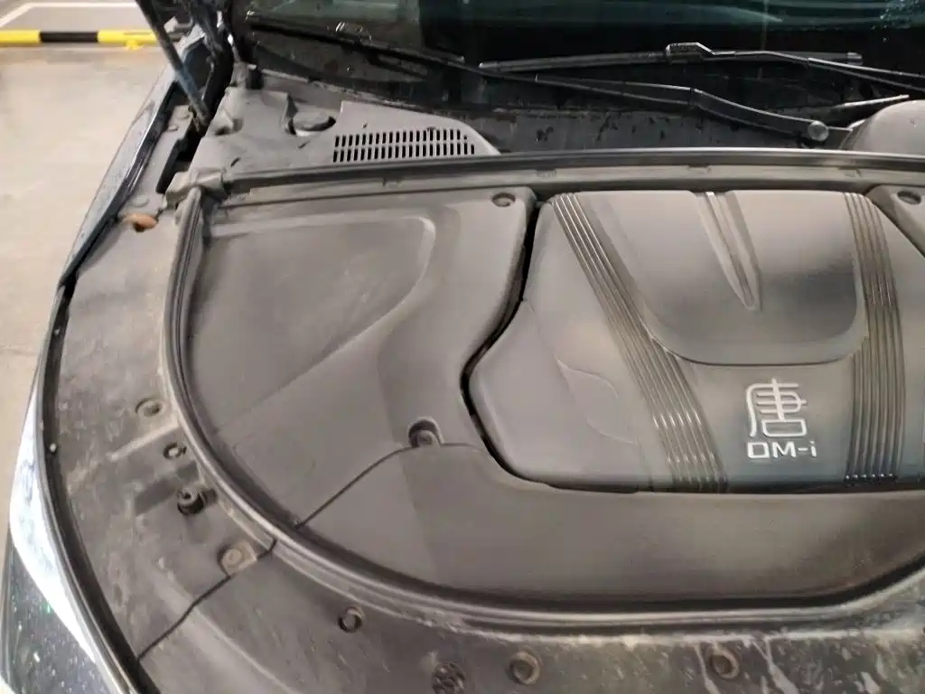 Фото 20 - BYD Tang New Energy