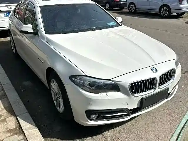 BMW 5 Series (Import) 2015 520i Elegance фото 3