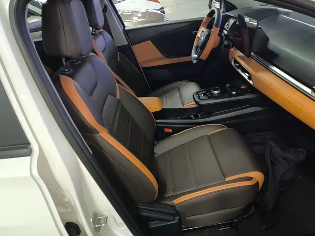 BYD e2 2021 2021 Luxury Edition