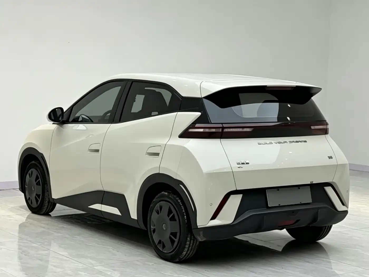BYD Seagull 2024 Glory Edition 305km Vitality Edition фото 5