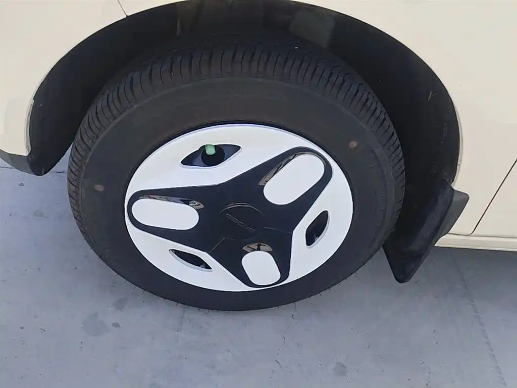 Geely Galaxy Panda 2025 Panda mini 210km Vitality Bear фото 23