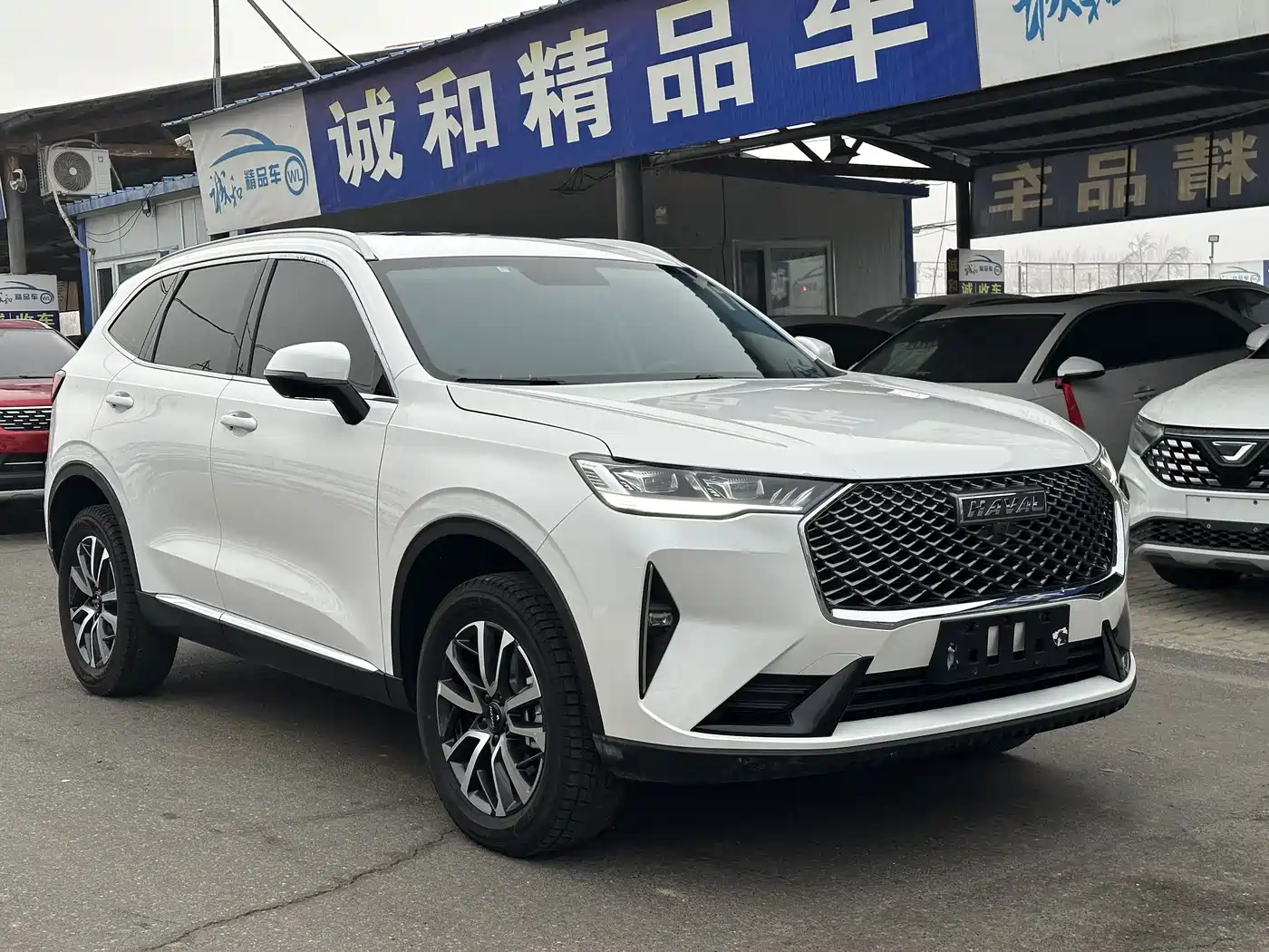 HAVAL H6