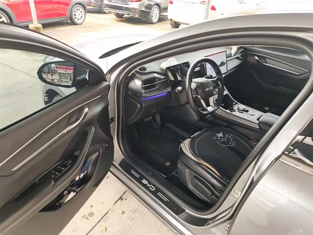 BYD Destroyer 05 2023 Champion Edition DM-i 55KM Luxury фото 16