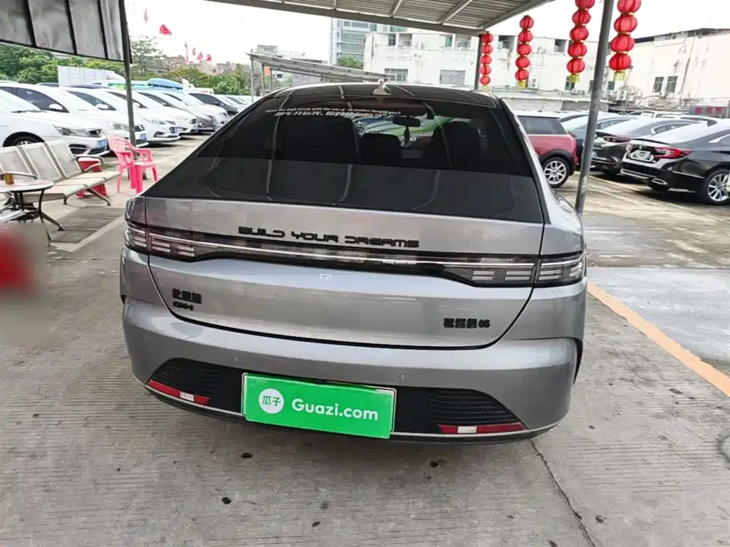 BYD Destroyer 05 2023 Champion Edition DM-i 55KM Luxury фото 6