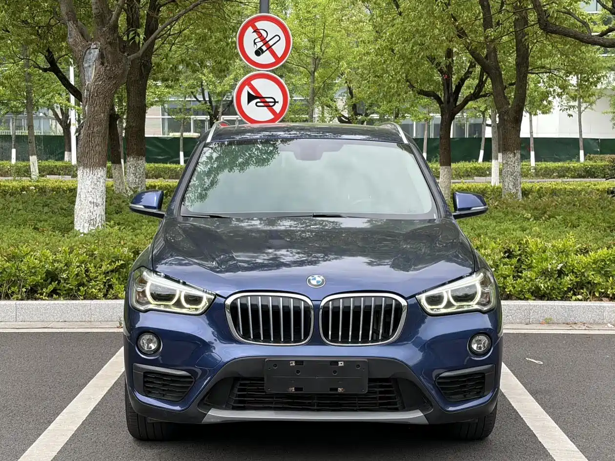 BMW X1 2019 sDrive20Li Leading Model фото 2