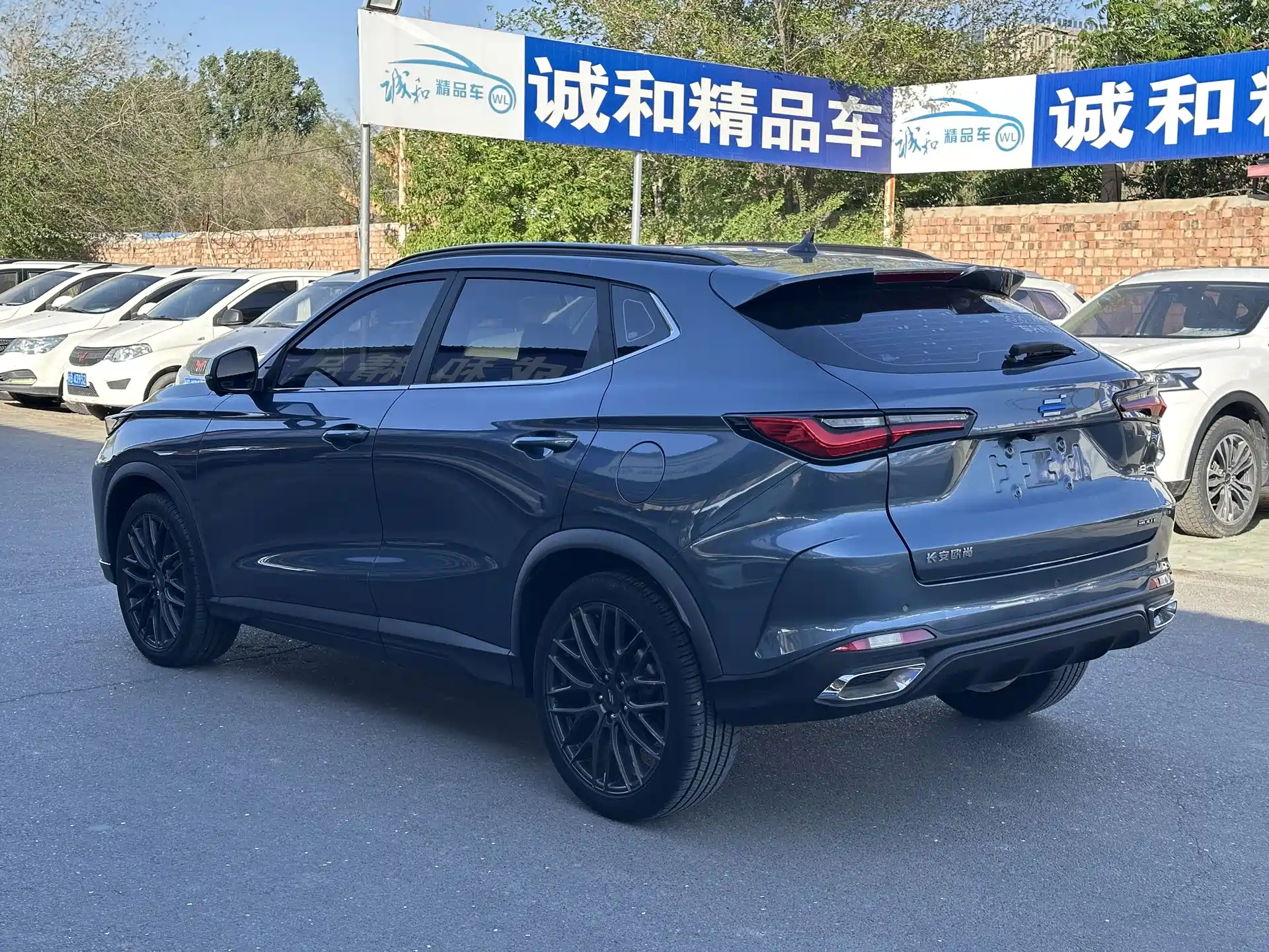 Фото 7 - Changan Oshan Changan Oushang X5