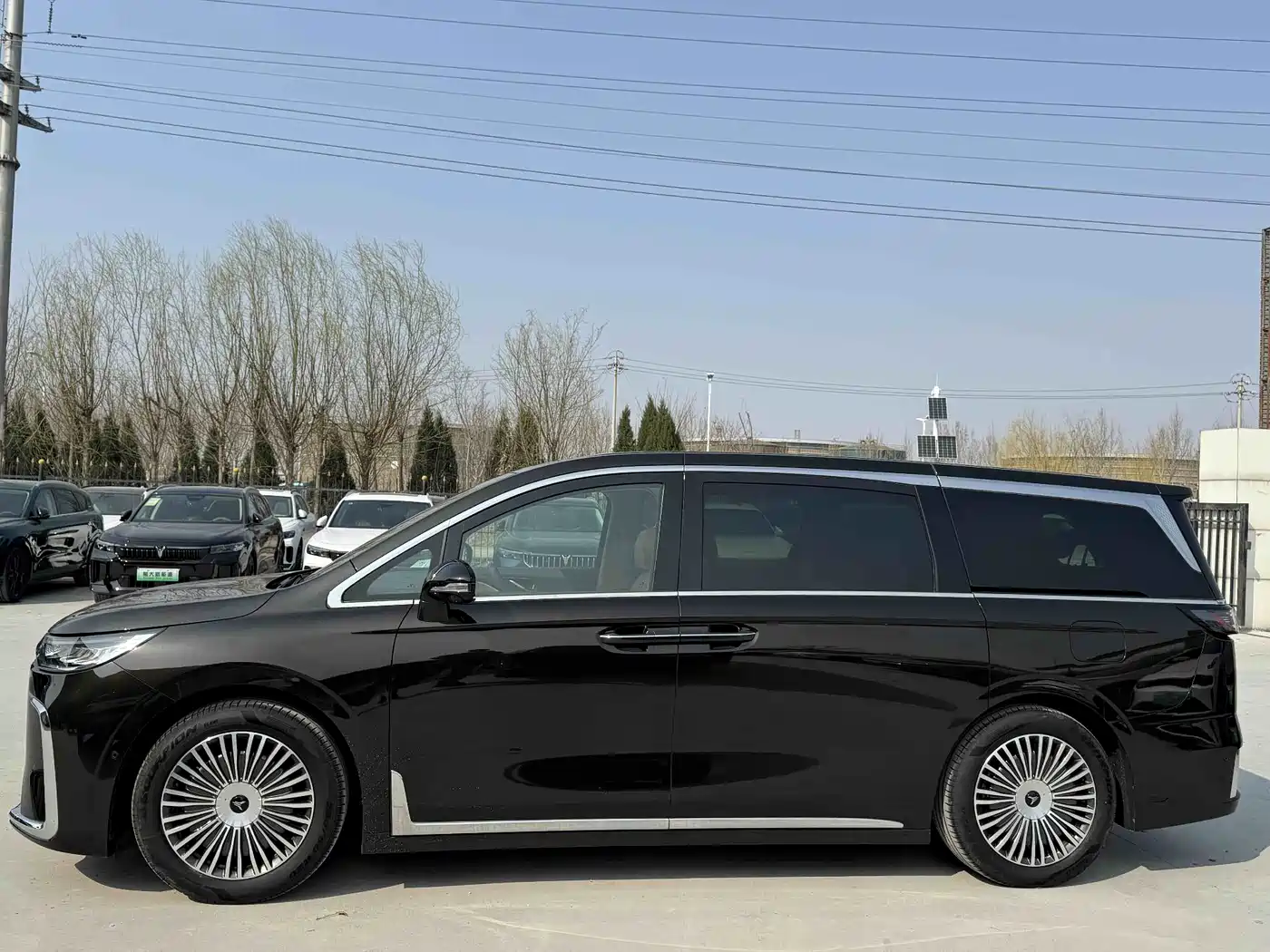 Voyah Auto Voyah Dreamer 2025 PHEV AWD Flagship Kunpeng Edition фото 3