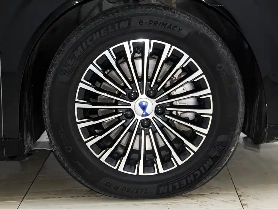 Denza D9 2024 DM-i 980 AWD Premium фото 12