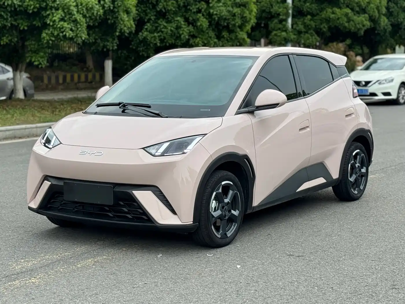 BYD Seagull 2024 Glory Edition 305km Freedom Edition