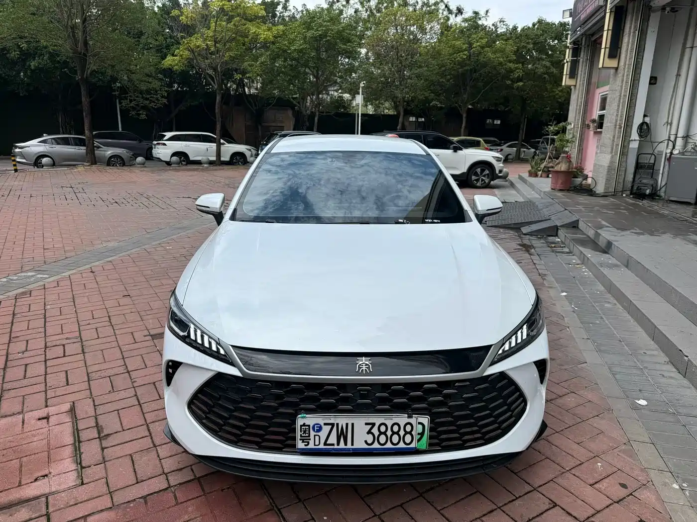BYD Qin PLUS 2025 DM-i Smart Drive 55KM Leader