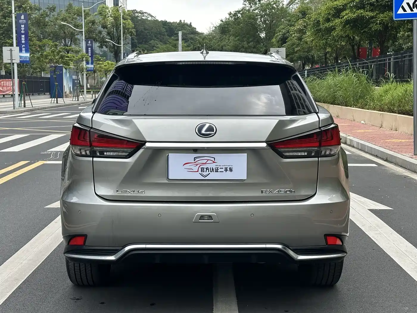 LEXUS RX