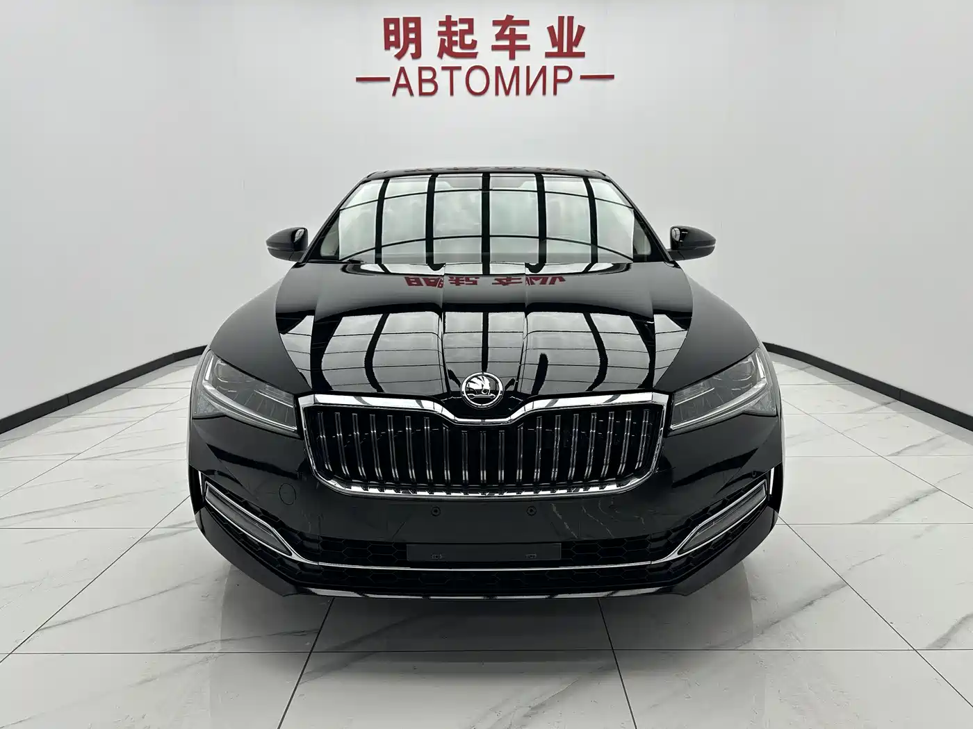 SKODA SPEED PIE